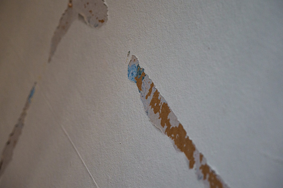 Mold Remediation service in West New York, NJ